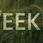 Microsoft Weekly: Gaming turmoil, big OneDrive update and new Windows 11 builds