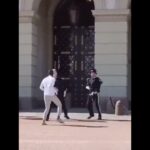 An African migrant was arrested after provoking the Royal Palace Guard || 2026