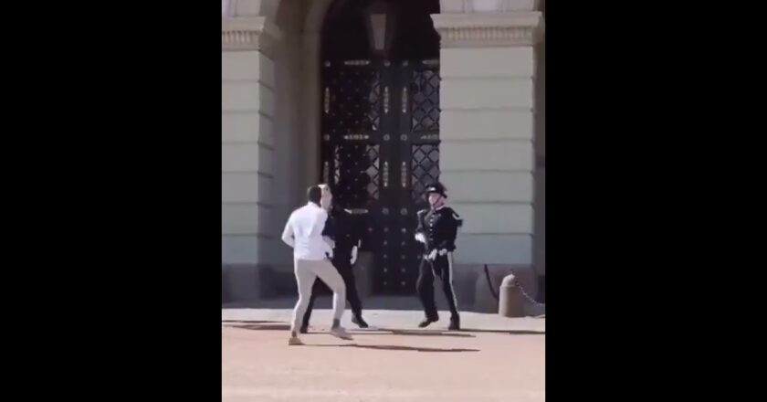 An African migrant was arrested after provoking the Royal Palace Guard || 2026