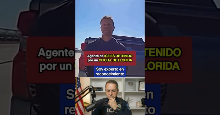 Agente de ICE es DETENIDO por OFICIAL #inmigrantesenusa #latinosenusa #inmigracion #inmigrantes