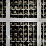 Greece experts to examine Nazi atrocity photos find | National