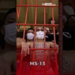 ¿Sabías que la red de “El Mencho” tenía influencia en Honduras y Centroamérica?