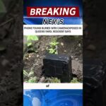 PHONE FOUND BURIED WITH CAMERAEXPOSED IN QUEENS YARD, RESIDENT SAYS #news #breakingnews#shorts