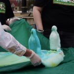 Annual Community Day introduces young people to science and engineering