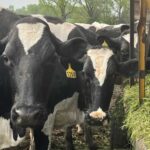 Farm bankruptcies surged 46% in 2025, signaling deepening financial crisis