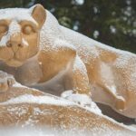 Finance OST: New financial shared services model begins operations