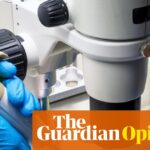 The Guardian view on Trump’s war on science: Europe should pick up talent fleeing the US | Editorial