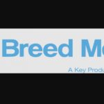 Physical music and vinyl pressing agency Breed Media makes new hires as revenue increases 20% | Labels