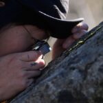 To afficionados, fungi are freaky, mystical and overlooked. They’re helping scientists learn more :: WRAL.com