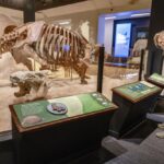 Texas Science and Natural History Museum uncovers revamped paleontology exhibit