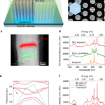 High efficiency, high color purity red micro-light-emitting diodes