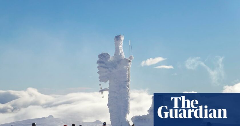 Funding cuts will devastate the next generation of scientists | Research