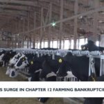 Wisconsin farm bankruptcies surge as financial pressures mount | News