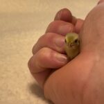 @fathenfarms Not sure, but I think Jet loves me a bit more than my other buttons…