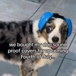 @deletedformemoriesonly         …