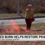 Creve Coeur Science Center conducts controlled fire to prairie