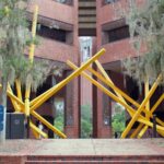 UF computer science instructor says emails with Epstein didn’t extend beyond STEM