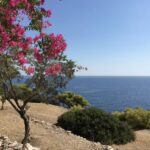 PRIO Writing Retreat 2026 in Aegina, Greece – Peace Research Institute Oslo (PRIO)