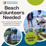 Environmental Science Center seeking Volunteers for Seahurst Beach Naturalist program