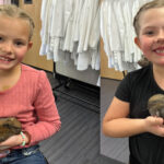 Gila Valley Health and STEAM Festival brings big science and hands-on fun to EA