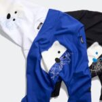 Canada Goose’s Snow Goose Celebrates National Polar Bear Day With Capsule