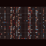 The Rockefeller University » Scientists map how aging reshapes cells across the entire mammalian body