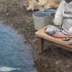 A Commonsense Critique of A Priori Metaphysics