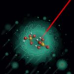 Scientists Uncover the Secret Structure Behind “Nature’s Proton Highway”