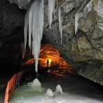 A bacterium frozen 5,000 years ago has been found capable of standing up to super-pathogens | Science