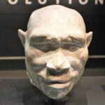 Gulf Between Ape-Like and Human Grows Wider