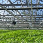 Santa Barbara Finance Committee Considers Increase on Cannabis Tax