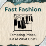 Tempting Prices, But At What Cost? – The Echo