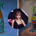 Taylor Swift stole my music video idea, indie artist claims. Do they have a case?