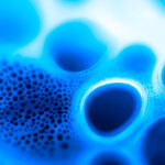 A model for modern biopharma collaboration — the enduring partnership between Ipsen and IRICoR