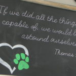 Tioga ISD faces accreditation risk due to financial struggles, community rallying in support