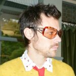 How Harry Styles Created a New Kind of Pop Star