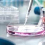 Turmeric, soy protein, medicinal mushrooms in science news round-up