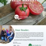 New Song Status 2024: Fresh Music Updates!