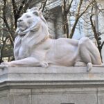 March Mammal Madness returns to celebrate science, storytelling and libraries