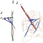 Music inspires proteins and scientists alike