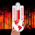 Insights from CR2 Following Exclusion