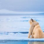 24 beautiful images from the World Nature Photography Awards 2026