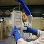 Sequencing work at San Diego’s Frozen Zoo expected to ‘dramatically expand’ science of conservation – San Diego Union-Tribune