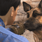 Fallout 4 Update Confirmed by Bethesda, Adds What We All Want