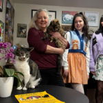 Cat-themed fashion show benefitting local cat cafe and partnerning shelter