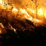 California Bill Aims to Create Science-Based Standards for Wildfi