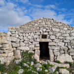 Genetically unique group in southern Greece can trace their paternal ancestry to the Bronze Age