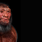 What are ghost lineages, remnants of the past that still exist in our DNA today?