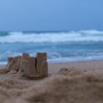 The Fragility Of Western Postwar Social Science – Analysis – Eurasia Review