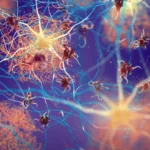 Scientists discover brain switches that clear Alzheimer’s plaques